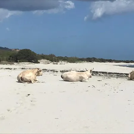 Dessanai Casa vacanze *