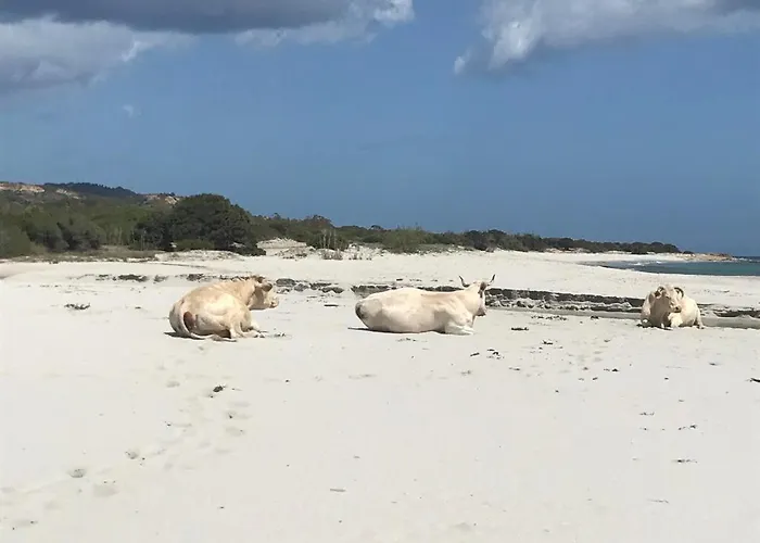 Dessanai Hébergement de vacances *