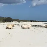 Dessanai Dom wakacyjny *