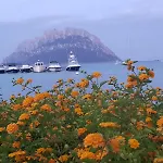 Dessanai