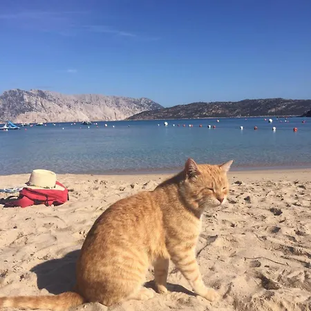 Dessanai Porto Ottiolu