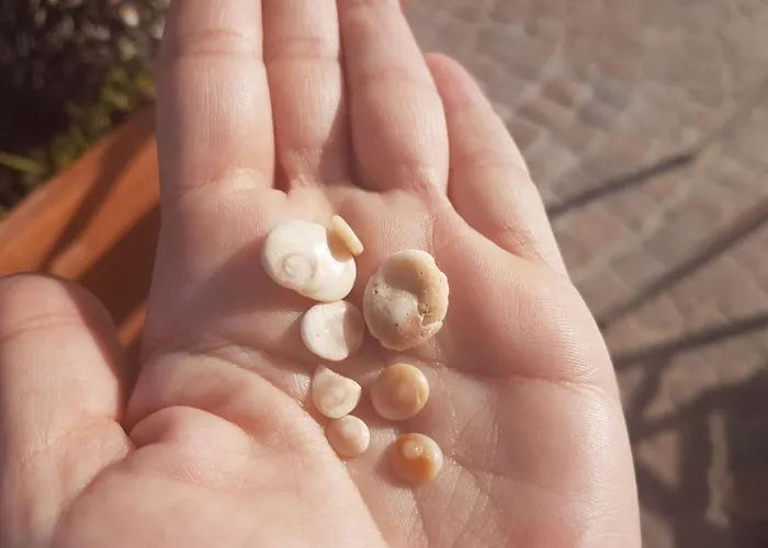 Dessanai Nyaraló Porto Ottiolu