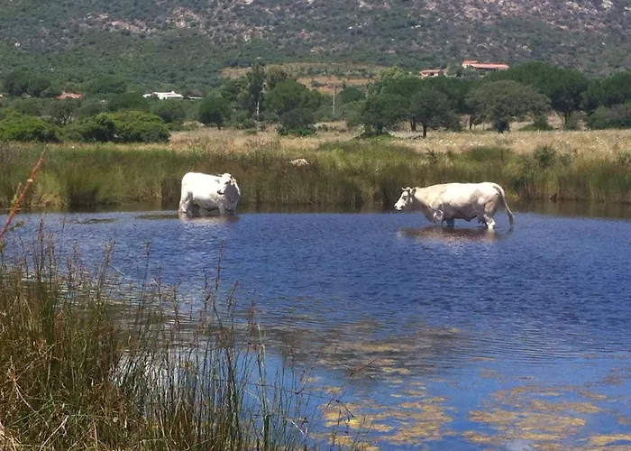 Dessanai Tatil Evi