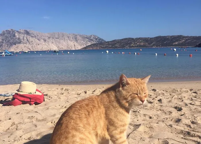 Dessanai Porto Ottiolu