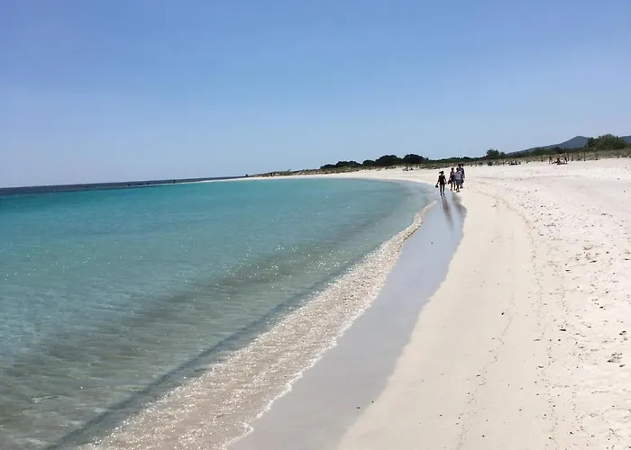 Dessanai Tatil Evi