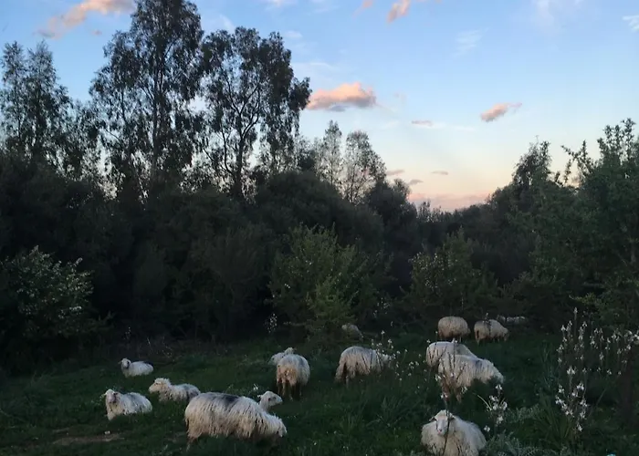 Nyaraló Dessanai Porto Ottiolu